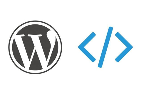WordPress调用不带超链接的Tag标签的方法