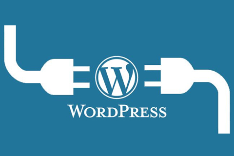 WordPress实现复制的时候版权提示框