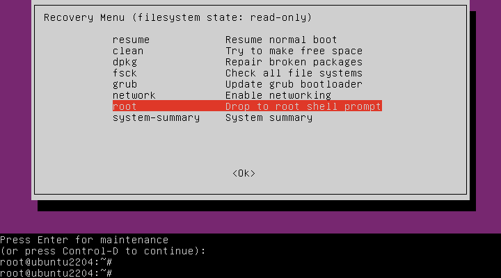 如何在 Ubuntu 22.04 / 20.04 / 18.04 中启动进入救援模式或紧急模式